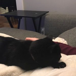 Meet your Posher, Tyler